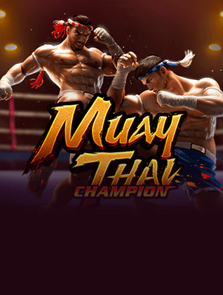 Muay Thai Champion